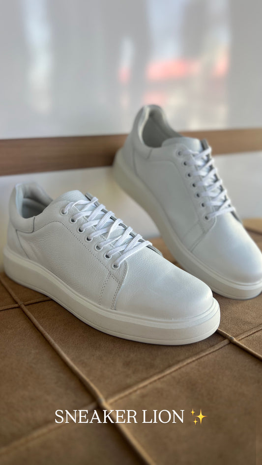 SNEAKER LION