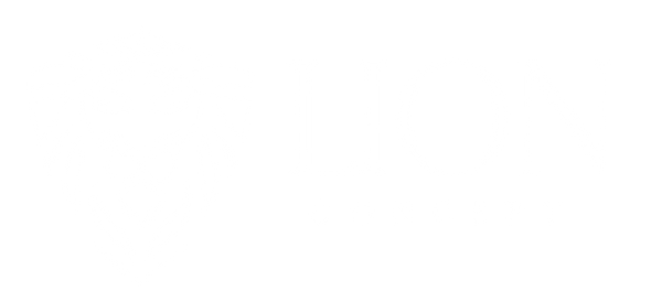 Lion Concept